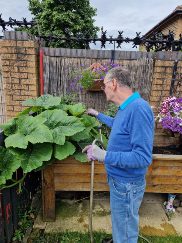 the blooming of our Journey garden in Newcastle