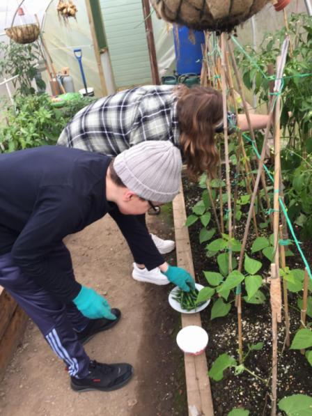 morgan and sharne garden