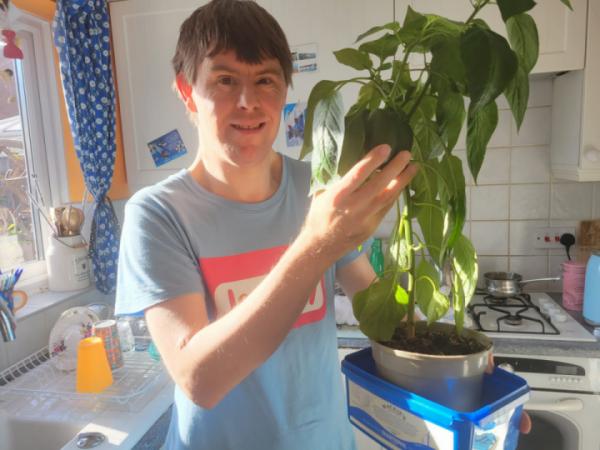 An thumbnail image for the news story about dan pepper plant dan pepper plant